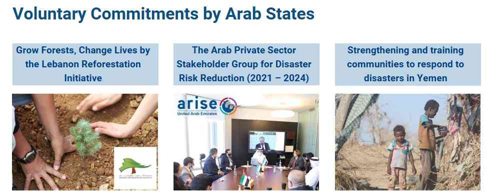 VCs from Arab region