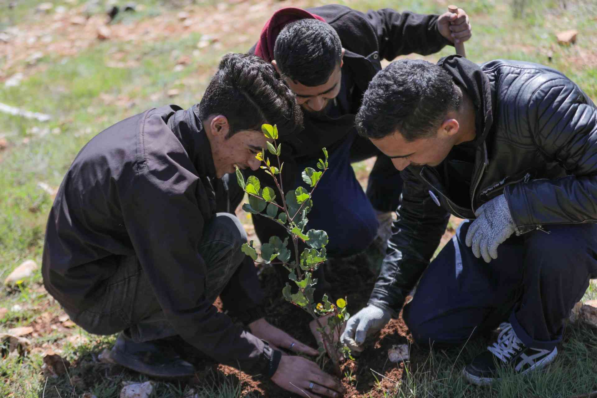 Youth being engaged in environment related work
